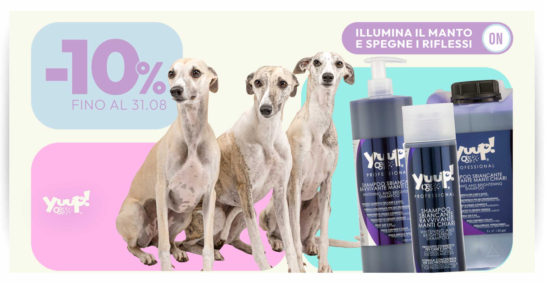 10% su categoria Bianco Candido Pro